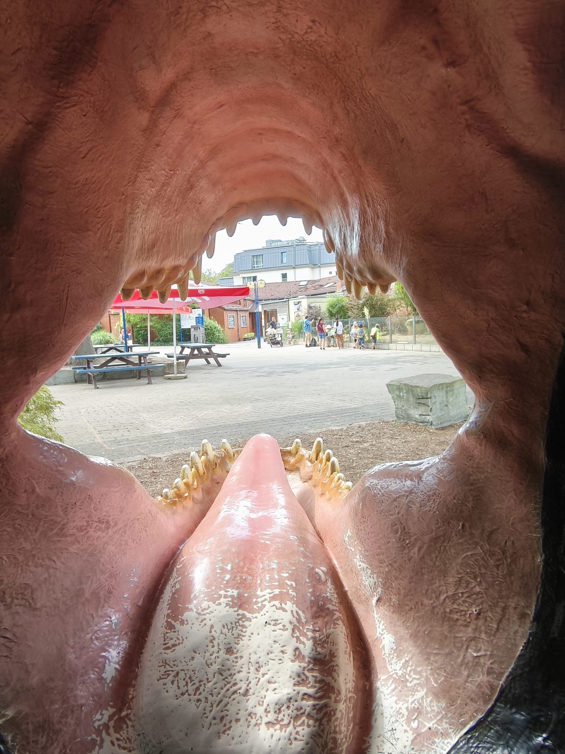 1000039419